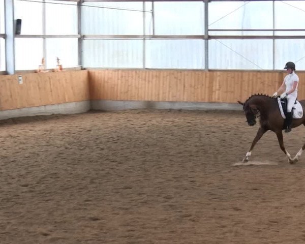Video von Faye 27