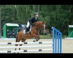 Jumper Finchen's Montelino (German Riding Pony, 1997, from Seven Mountain Natan)