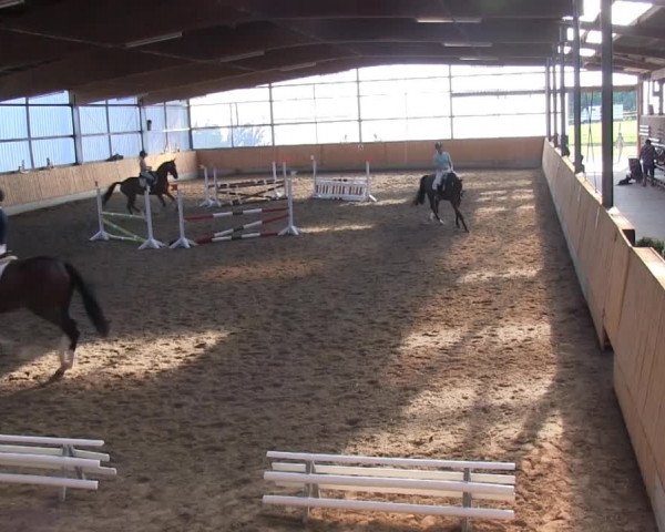 Video di Forget me never WK, Finnley