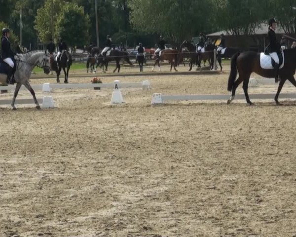 Video von Erbprinz