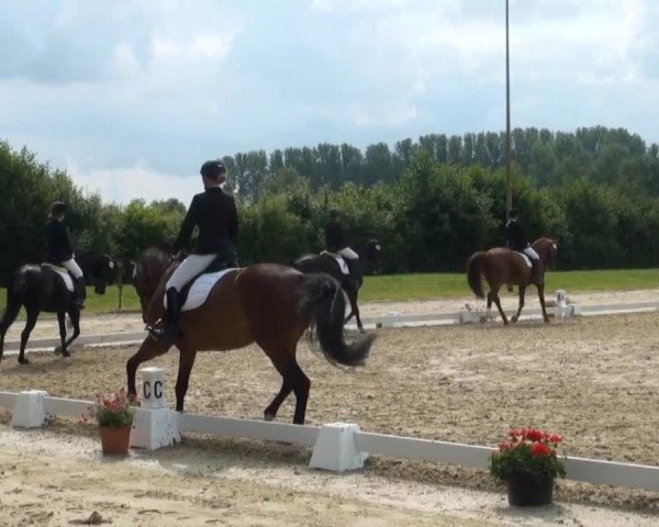 Video of Dark Moon 6, Dolce Vita 119