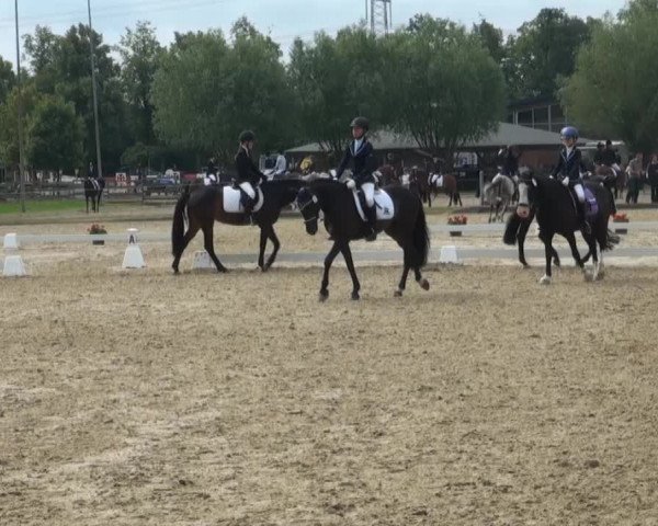 Video von Nemo 50, No Limit, Valentina