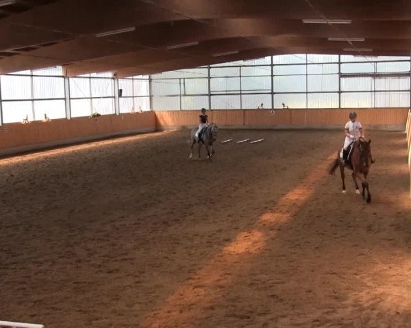 Video of Casperado 2, Florestan Express