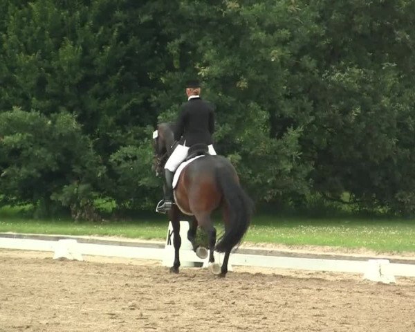 Video of Rubicon Leonardo