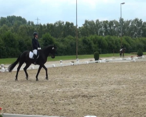 Video of Roceur, Rio Lorbas