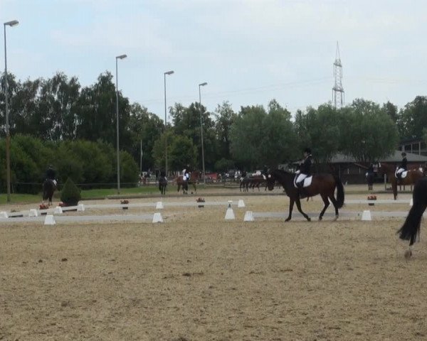 Video of Athea, Denia Alicante