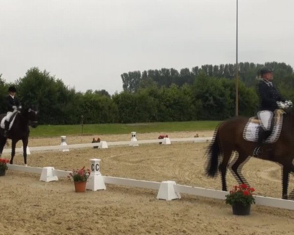 Video of Fleur Noir 11
