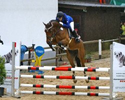 broodmare Daquinta V (KWPN (Royal Dutch Sporthorse), 2008, from London)