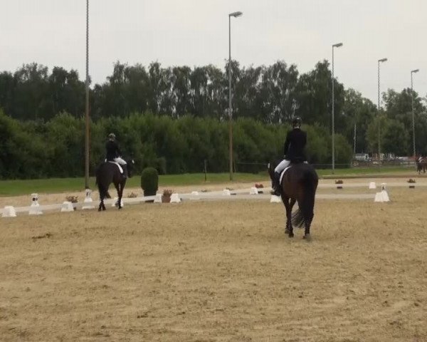 Video von Rock of Stars