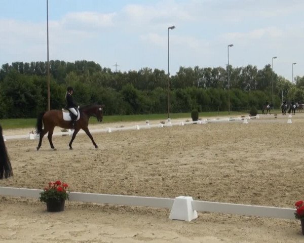 Video of Papaya Sun, Perfect Look, Rial B