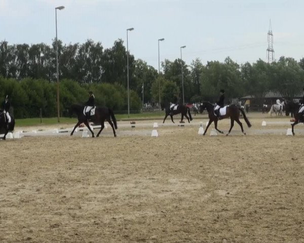 Video of Rock Synderella, Releika