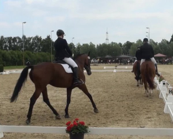 Video of Royal Gustav, Rolina 3, Ronaldino 6