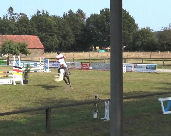 Engter 2013 13.07.2013 33/2 Zwei-Phasen-Springprfg.Kl.L Geschlossene Prüfung