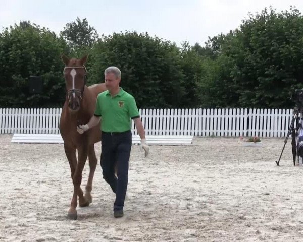 Video von Bella Donna