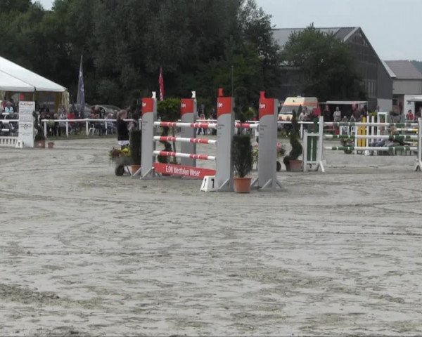 Sommerturnier Brakel 2013 14.07.2013 28 Springprüfung Kl. S*  Siegerrunde
