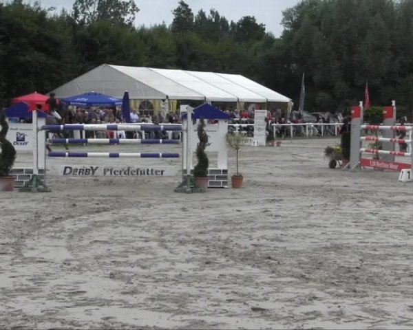 Sommerturnier Brakel 2013 14.07.2013 28 Springprüfung Kl. S* m. Siegerrunde