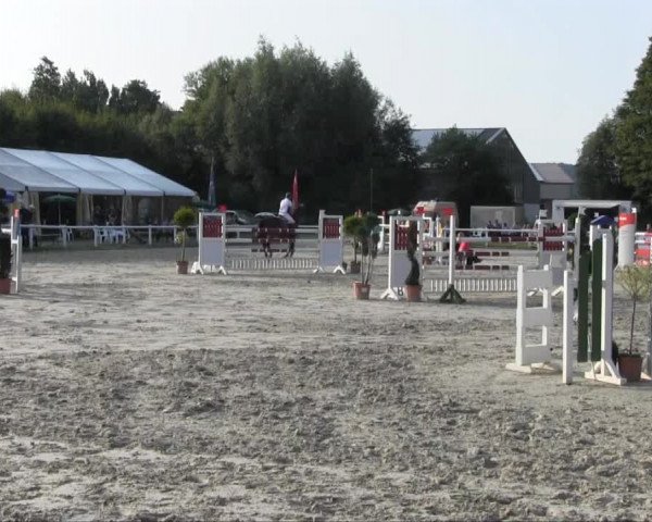 Sommerturnier Brakel 2013 14.07.2013 27.3 Springprüfung Kl. M** 1. WP SOW LK 1,2,3, Quali E.ON Westf.Weser Trophy 2013