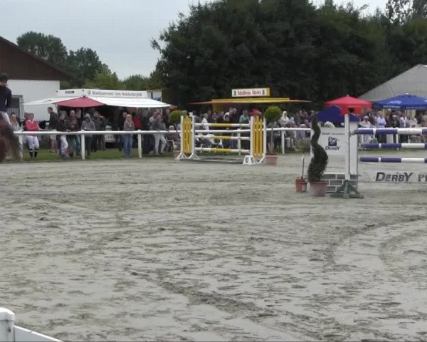 Sommerturnier Brakel 2013 14.07.2013 28 Springprüfung Kl. S* m. Siegerrunde