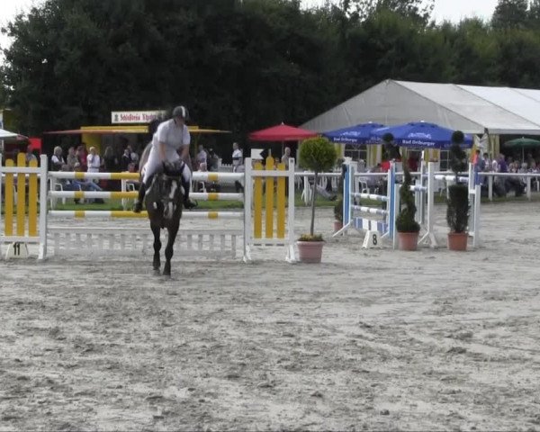 Sommerturnier Brakel 2013 14.07.2013 27.2 Springprüfung Kl. M** 1. WP SOW LK 1,2,3, Quali E.ON Westf.Weser Trophy 2013