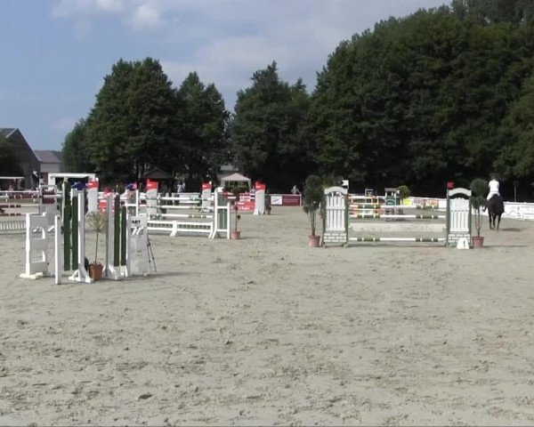 Sommerturnier Brakel 2013 14.07.2013 27 Springprüfung Kl. M** 1. WP SOW LK 1,2,3, Quali E.ON Westf.Weser Trophy 2013