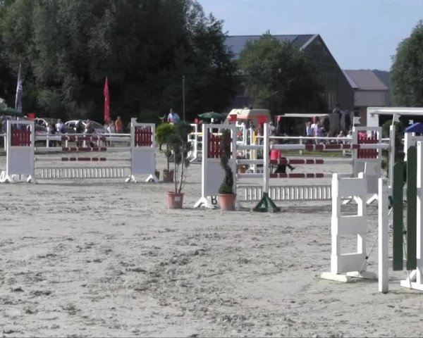 Sommerturnier Brakel 2013 14.07.2013 27.2 Springprüfung Kl. M** 1. WP SOW LK 1,2,3, Quali E.ON Westf.Weser Trophy 2013