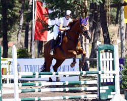 jumper Franziskanerin 3 (German Sport Horse, 2007, from Landfriese II)