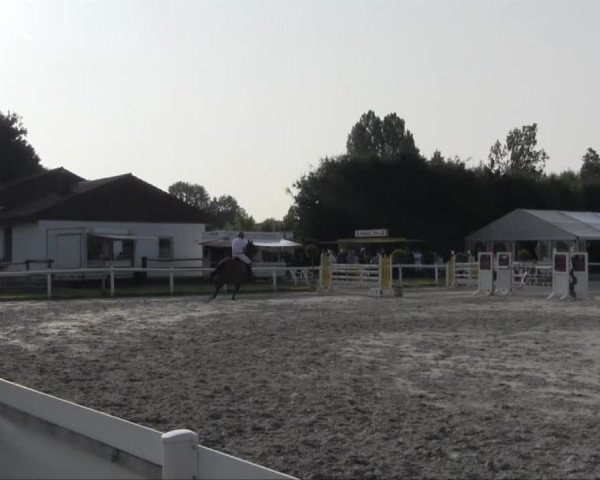 Sommerturnier Brakel 2013 14.07.2013 21.2 Springprüfung Kl. M* Kreisreiterverband Höxter - Warburg