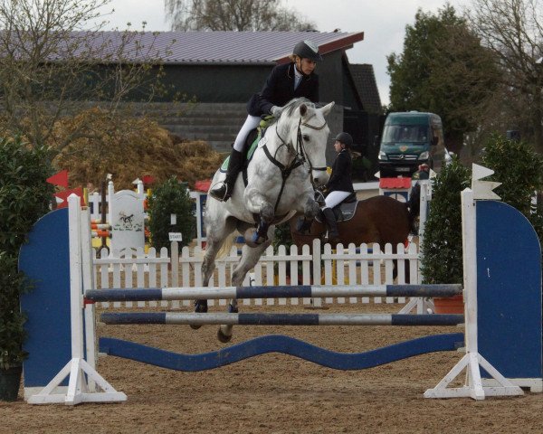 jumper Catch Me 44 (Oldenburg, 2005, from Contact Me)