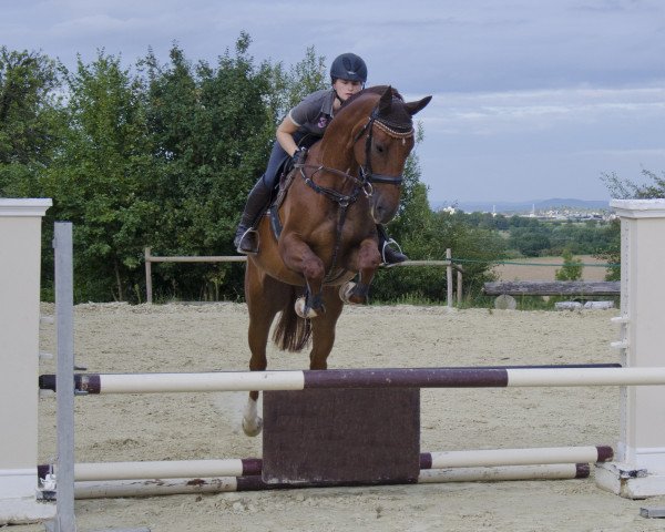 broodmare La Colette 2 (Württemberger, 2006, from Wolkenstern)