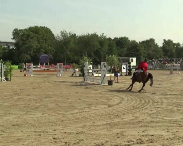 Rheinische Meisterschaften 2013  14.07.2013 06 Ponyspringprüfung Kl.M* - Finale Pony