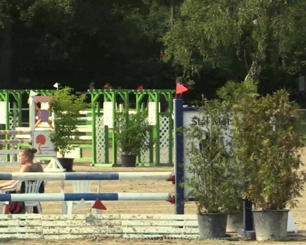 Rheinische Meisterschaften 2013  13.07.2013 32 Mannsch.-Springprfg.Kl.A** mit 1 Umlauf - JVC)