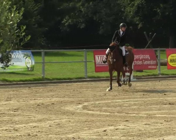 Rheinische Meisterschaften 2013  13.07.2013 32 Mannsch.-Springprfg.Kl.A** mit 1 Umlauf - JVC)