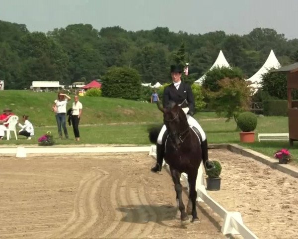 Rheinische Meisterschaften 2013  13.07.2013 19 Dressurprüfung Kl. S*** - Grand Prix de Dressage - 1. WP REI