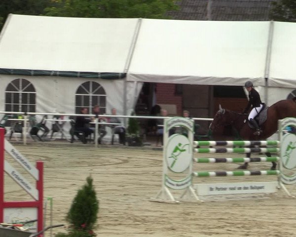 Reitturnier Ostenfelde-Vornholz 2021