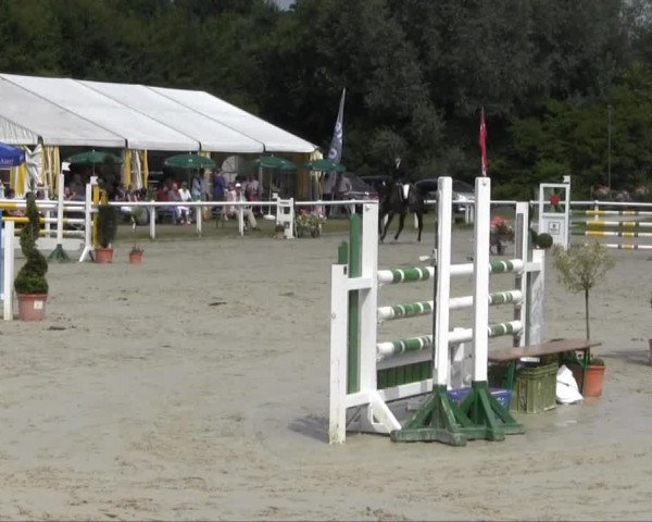 Sommerturnier Brakel 2013 12.07.2013 15 Stilspringprüfung Kl. L 1. WP SOW Jun/JR LK 3 u. 4