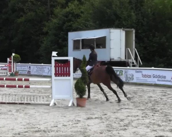 13 am 14.07.2013 Stilspringprüfung Kl. A** 1. WP SOW Jun./JR LK 5 u. 6 