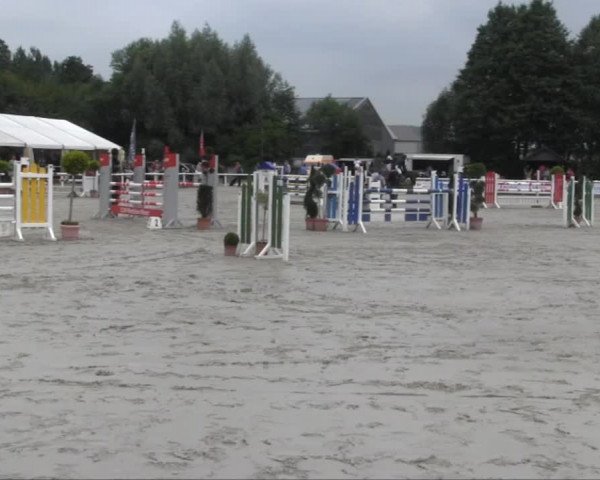 Sommerturnier Brakel 2013 12.07.2013 26.1 Springpferdeprüfung Kl. M