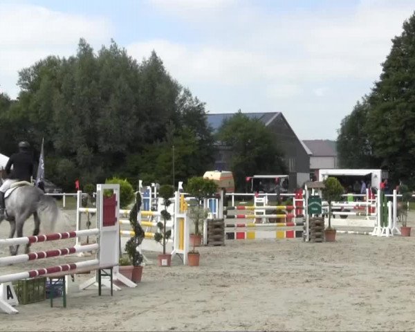 Sommerturnier Brakel 2013 12.07.2013 20.3 Springpferdeprüfung Kl. L