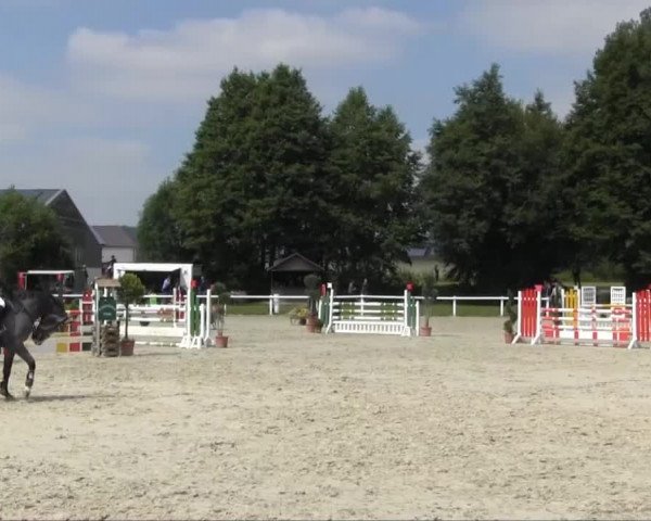 Sommerturnier Brakel 2013 12.07.2013 20.3 Springpferdeprüfung Kl. L