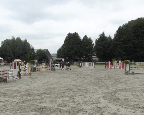 Sommerturnier Brakel 2013 12.07.2013 20 Springpferdeprüfung Kl. L