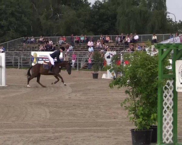 Rheinische Meisterschaften 2013 12.07.2013 42 Springponyprüfung Kl.L - Sichtung BuCha
