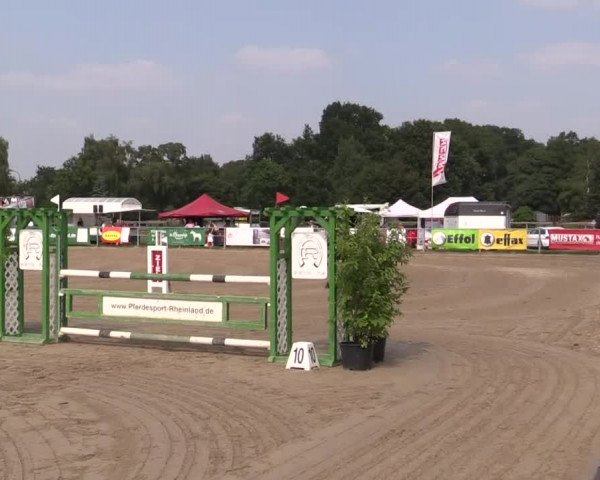 Rheinische Meisterschaften 2013 12.07.2013 41 Springponyprüfung Kl.A** - Sichtung BuCha