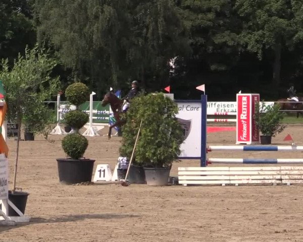 Rheinische Meisterschaften 2013 12.07.2013 26 Stilspringprüfung Kl.L - 1. WP Holger Hetzel NWC