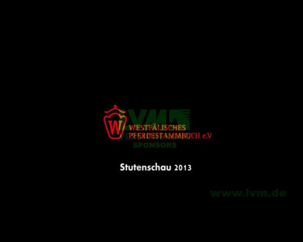 Stuten- und Fohlenschau Handorf 2013
Donnerstag, den 11.07.2013