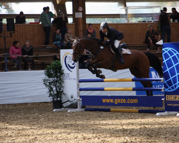 broodmare Petite Colette (Württemberger, 2008, from Cyrano de Bergerac)