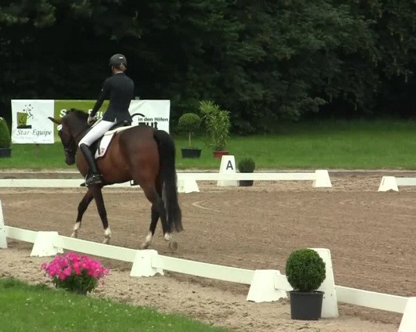 Rheinische Meisterschaften 2013 11.07.2013 46 Dressurprüfung Kl.S*-Tr. - Junge Pferde - 7-8j.