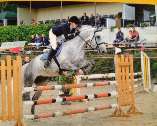 jumper Conrad 77 (Holsteiner, 2005, from Corrado I)