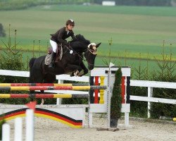 jumper Pepsy A (Hanoverian, 2001, from Potsdam)