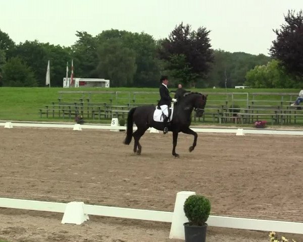 Video of doylek