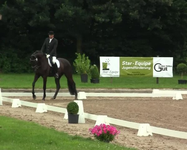 Rheinische Meisterschaften 2013 11.07.2013 45 Dressurprüfung Kl.M** - Junge Pferde - 6-8j.